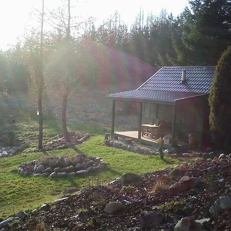 Hut In The Mid. Of Nowhere + Priv Pond+3 Ha Darzkowo Ngoại thất bức ảnh