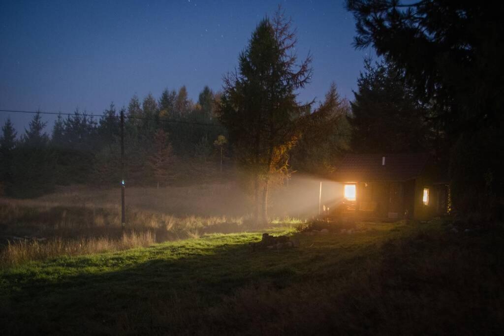 Hut In The Mid. Of Nowhere + Priv Pond+3 Ha Darzkowo Ngoại thất bức ảnh